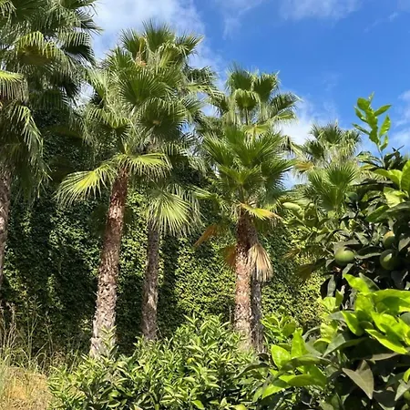 Superb Penthouse Swimming Pools Equipped Solarium Panoramic View アパート